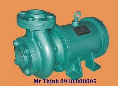 MÁY BƠM CHÌM TRỤC NGANG LUBI LHL-150 0.5HP, 1Ph/230VAC may-bom-chim-truc-ngang-lubi-lhl-150-0-5hp-1ph-230vac