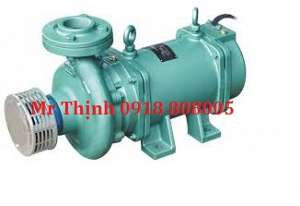 may-bom-chim-truc-ngang-lubi-lhs-161-1-5kw-2-0hp-1ph-230vac