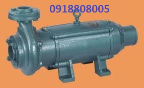 may-bom-chim-truc-ngang-lubi-lhs20-7-5kw-10hp-3ph-380v