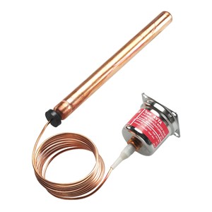 PHỤ TÙNG VAN ỔN NHIỆT AVTA/AVTB C/N 003N0278 phu-tung-van-on-nhiet-avta-avtb-c-n-003n0278
