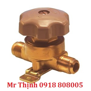van-chan-danfoss-bml-10-c-n-009g0127