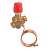 van-danfoss-ab-pm-dn-10-ap-suat-cao-ren-ngoai-c-n-003z1411