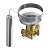 van-tiet-luu-danfoss-te-55-r448a-r449a-c-n-067g3309